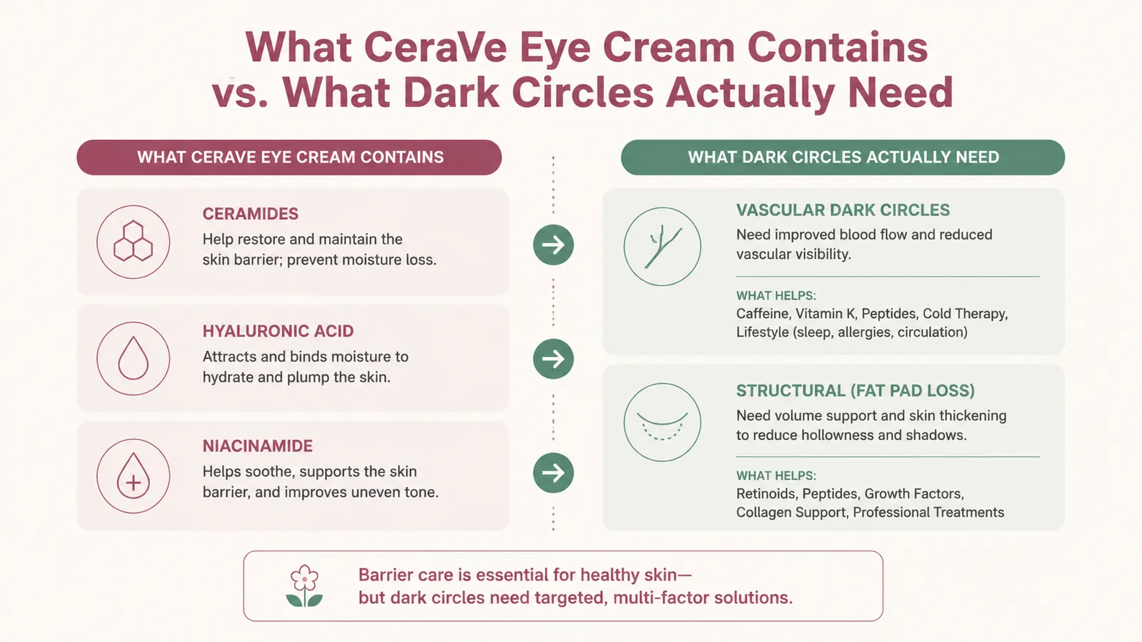 Ingredient comparison chart showing ceramides and hyaluronic acid functions in eye cream